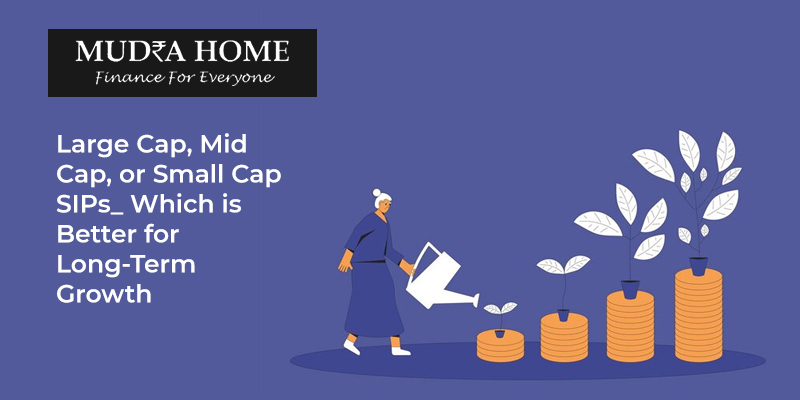Large Cap, Mid Cap, or Small Cap SIPs_ Which is Better for Long-Term Growth