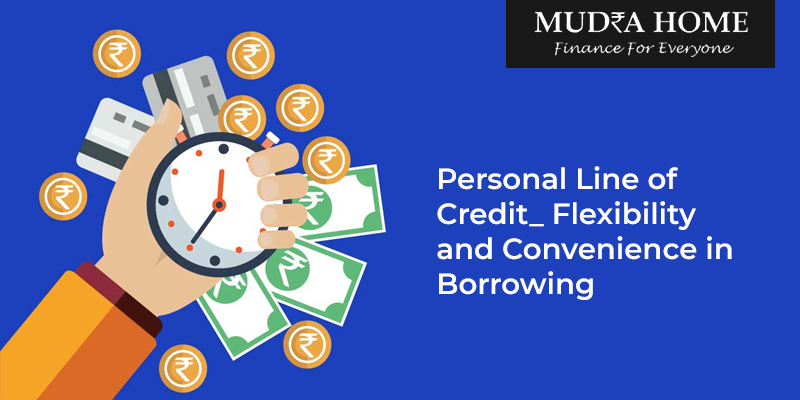Personal Line of Credit_ Flexibility and Convenience in Borrowing