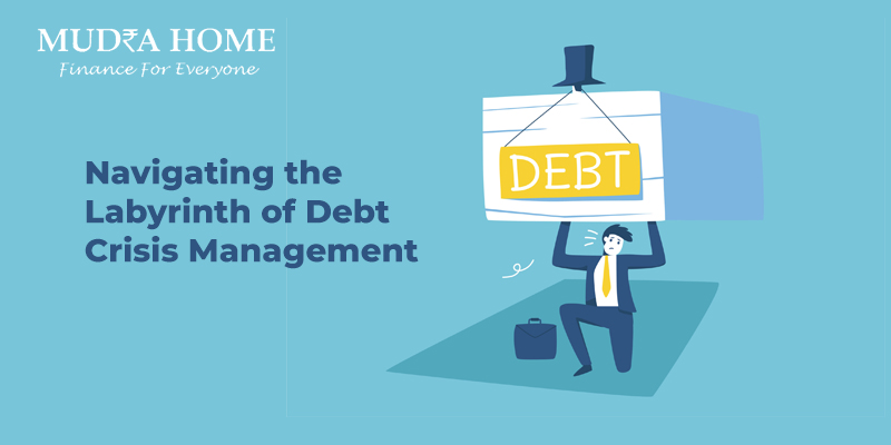 Navigating the Labyrinth of Debt Crisis Management - (A)